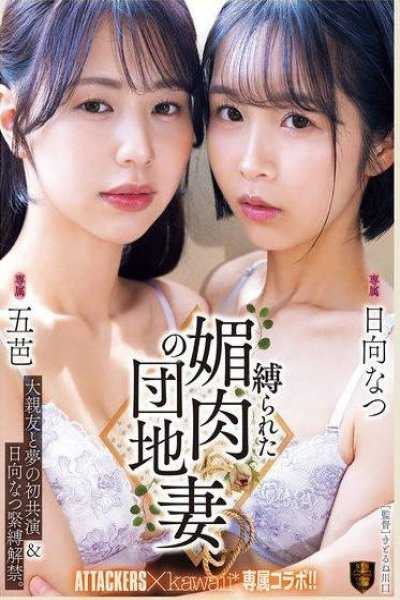 與最親密的朋友夢幻初次共演＆日向夏緊縛解禁。被綑綁的媚肉團地妻